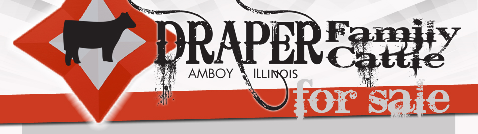 Draper Family Cattle - Amboy, IL